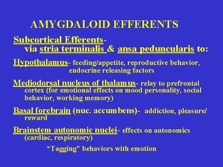 AMYGDALOID EFFERENTS Subcortical Efferentsvia stria terminalis & ansa peduncularis to: Hypothalamus- feeding/appetite, reproductive behavior,