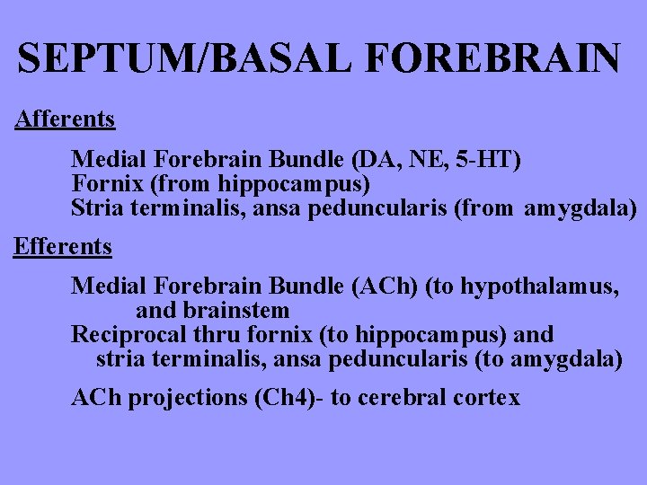 SEPTUM/BASAL FOREBRAIN Afferents Medial Forebrain Bundle (DA, NE, 5 -HT) Fornix (from hippocampus) Stria