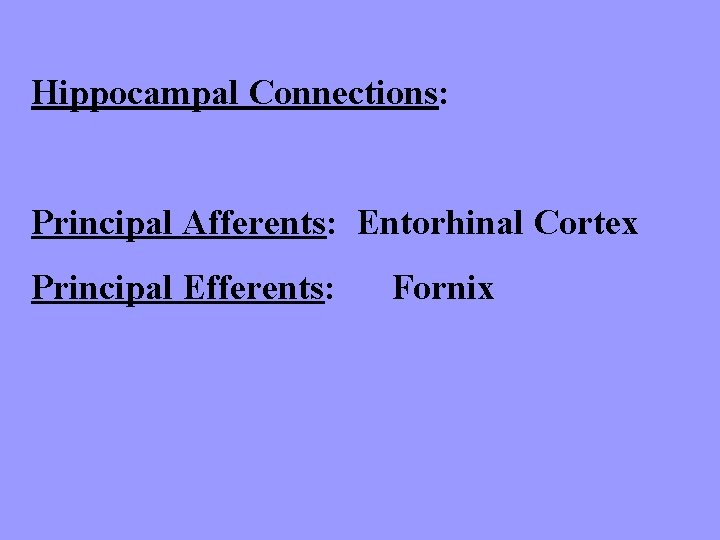 Hippocampal Connections: Principal Afferents: Entorhinal Cortex Principal Efferents: Fornix 