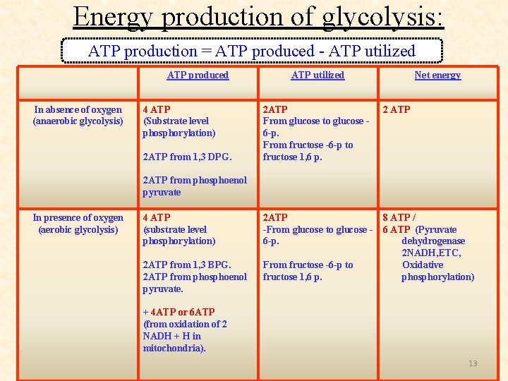 Energy production of glycolysis: ATP production = ATP produced - ATP utilized ATP produced