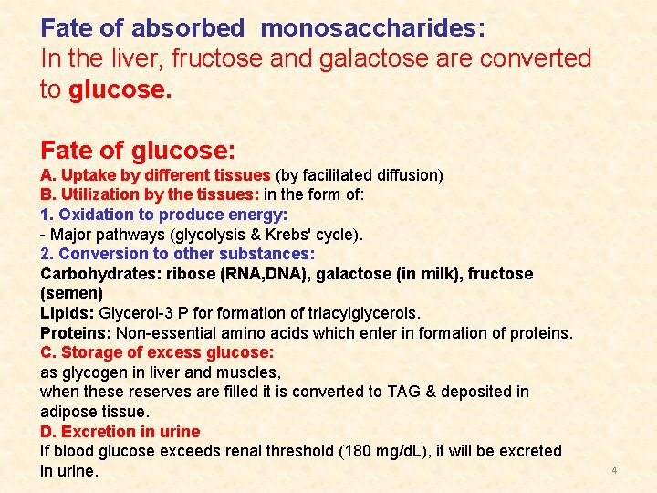 Fate of absorbed monosaccharides: In the liver, fructose and galactose are converted to glucose.