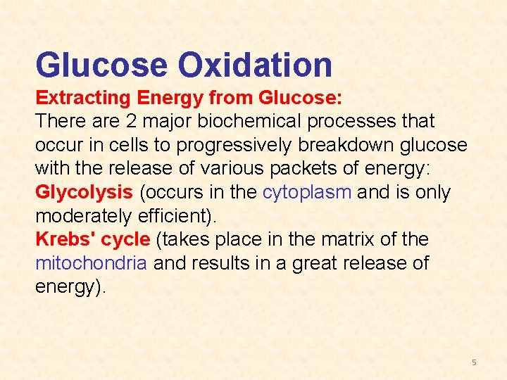 Glucose Oxidation Extracting Energy from Glucose: There are 2 major biochemical processes that occur