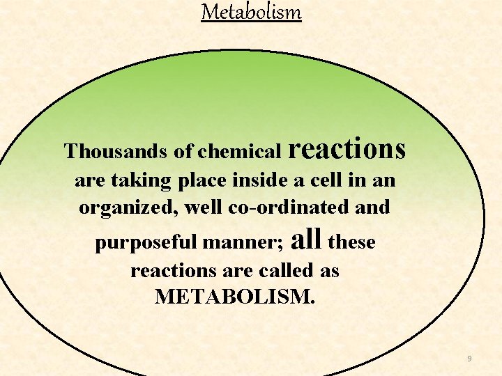 Metabolism Thousands of chemical reactions are taking place inside a cell in an organized,