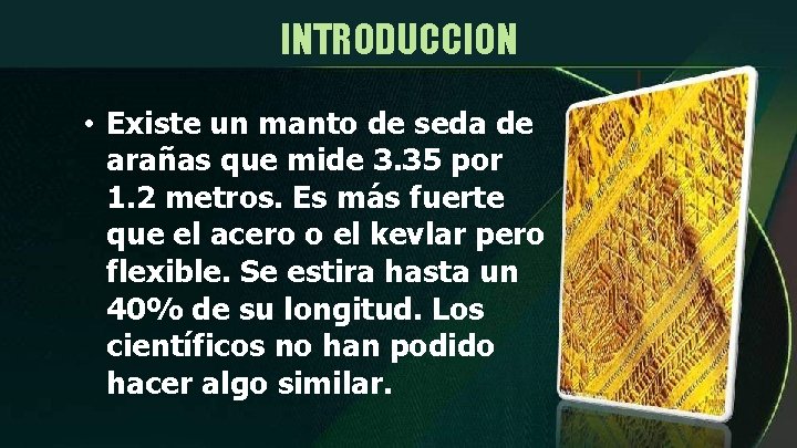 INTRODUCCION • Existe un manto de seda de arañas que mide 3. 35 por