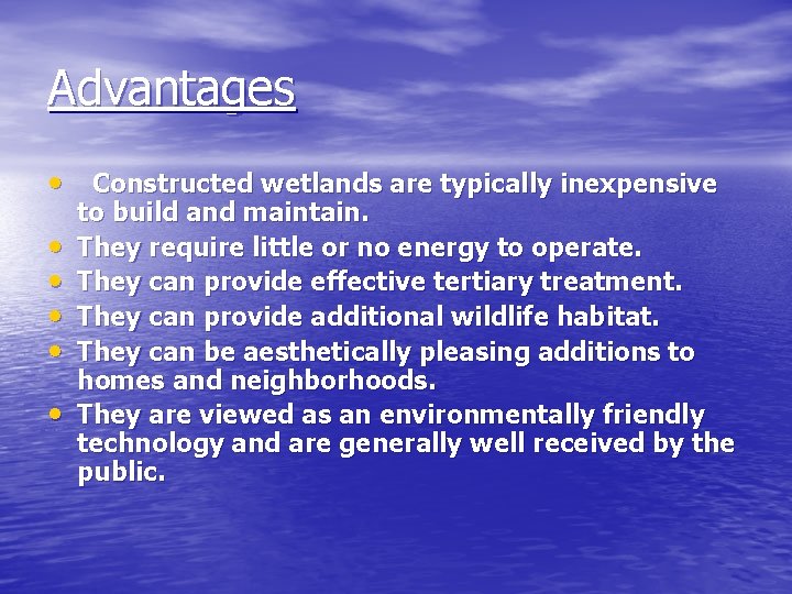 Advantages • Constructed wetlands are typically inexpensive • • • to build and maintain.