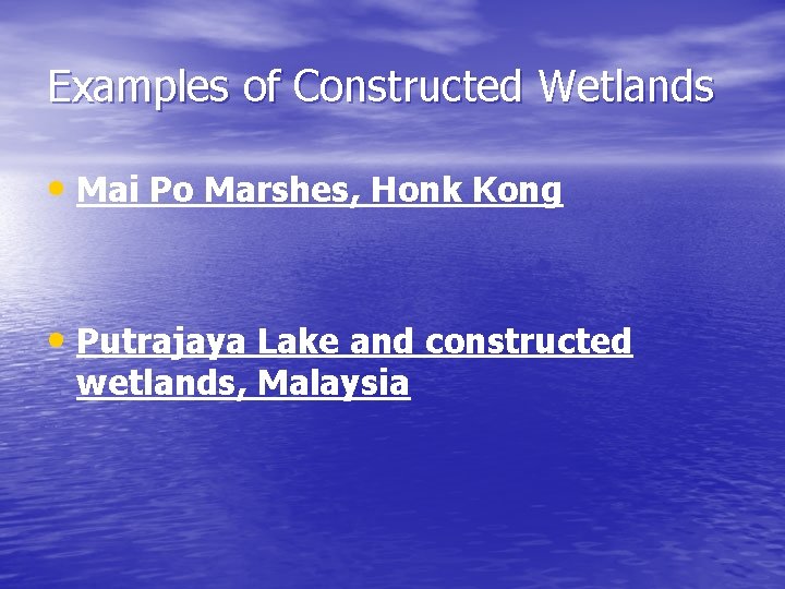 Examples of Constructed Wetlands • Mai Po Marshes, Honk Kong • Putrajaya Lake and