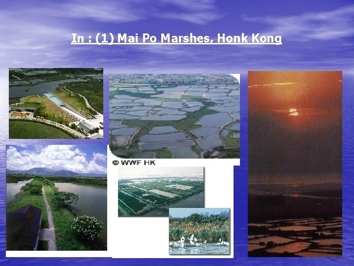 In : (1) Mai Po Marshes, Honk Kong 