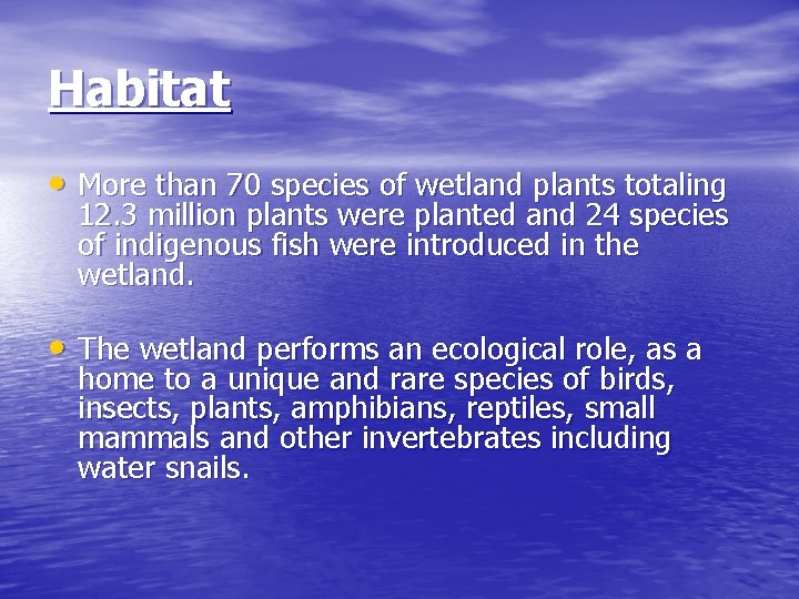 Habitat • More than 70 species of wetland plants totaling 12. 3 million plants