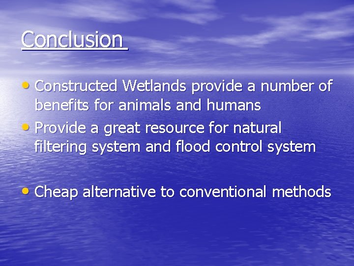 Conclusion • Constructed Wetlands provide a number of benefits for animals and humans •