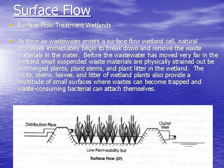 Surface Flow • Surface-Flow Treatment Wetlands • As soon as wastewater enters a surface