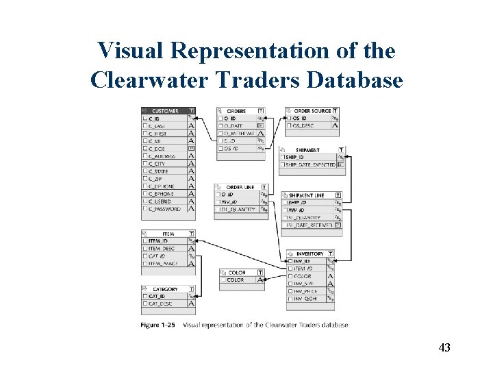 Visual Representation of the Clearwater Traders Database 43 Visual Representation of the Clearwater Traders Database 43