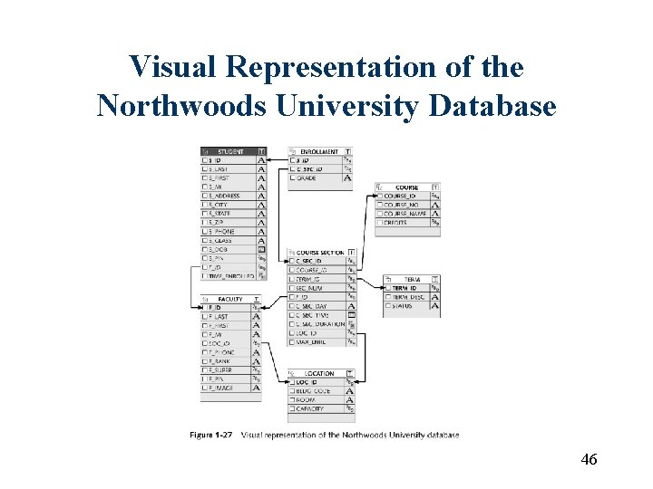 Visual Representation of the Northwoods University Database 46 Visual Representation of the Northwoods University Database 46