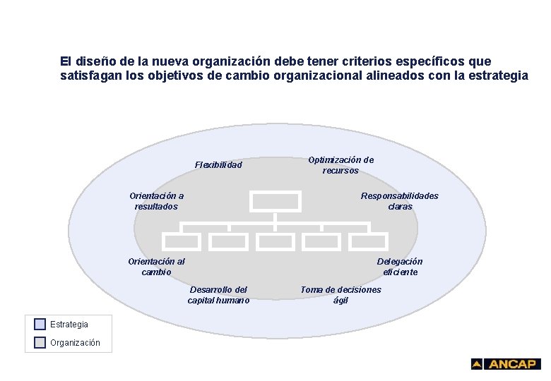 El diseño de la nueva organización debe tener criterios específicos que satisfagan los objetivos