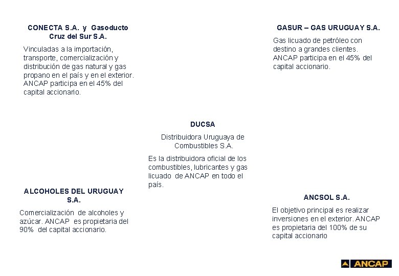 CONECTA S. A. y Gasoducto Cruz del Sur S. A. Vinculadas a la importación,