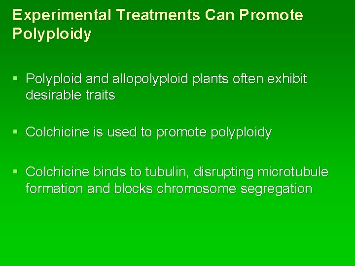 Experimental Treatments Can Promote Polyploidy § Polyploid and allopolyploid plants often exhibit desirable traits