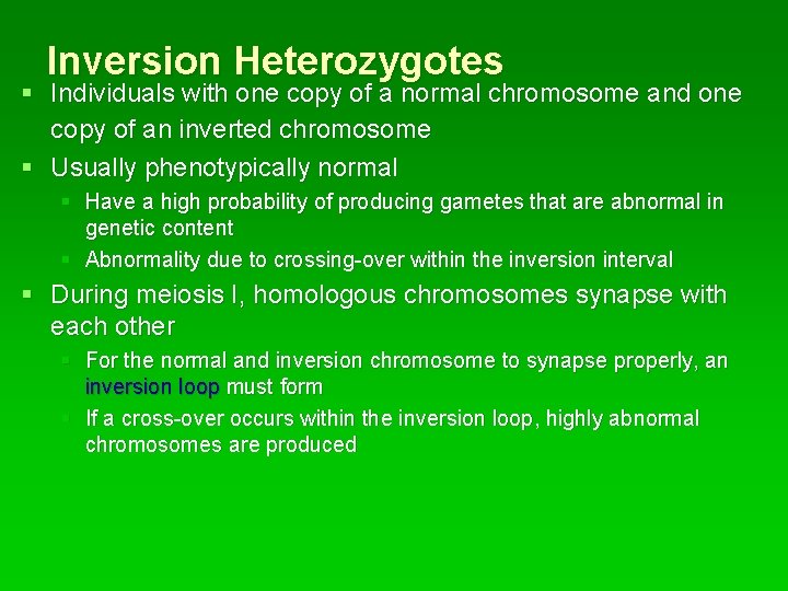 Inversion Heterozygotes § Individuals with one copy of a normal chromosome and one copy