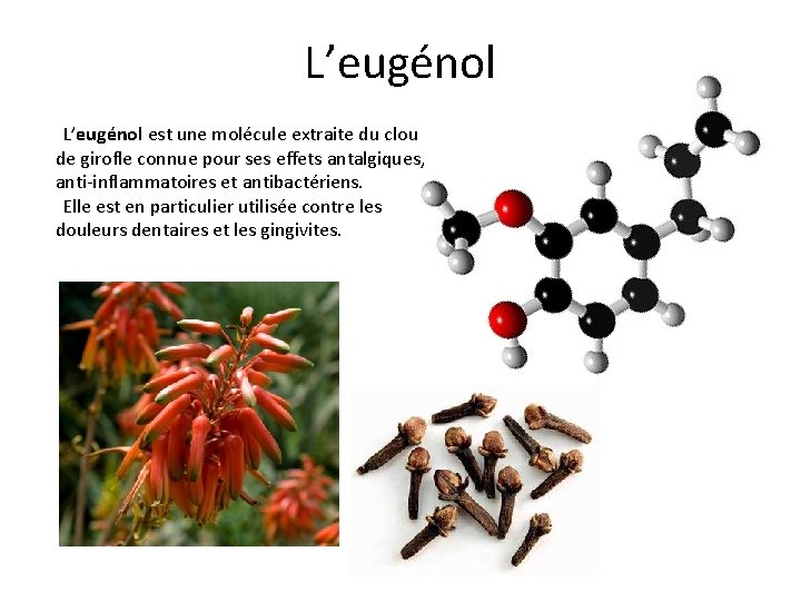 L’eugénol est une molécule extraite du clou de girofle connue pour ses effets antalgiques,