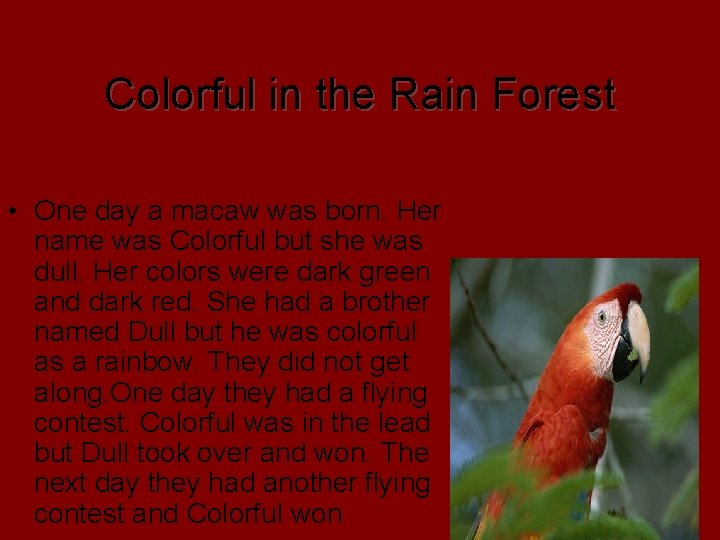 Colorful in the Rain Forest • One day a macaw was born. Her name