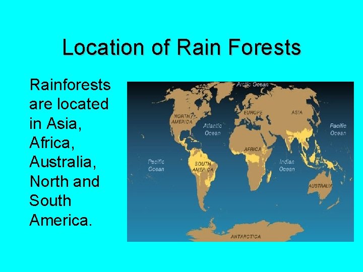 Location of Rain Forests Rainforests are located in Asia, Africa, Australia, North and South