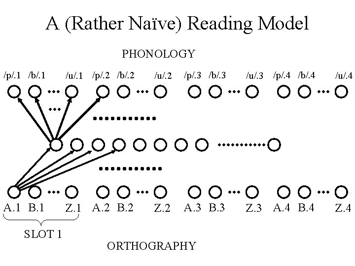 A (Rather Naïve) Reading Model PHONOLOGY /p/. 1 /b/. 1 /u/. 1 /p/. 2