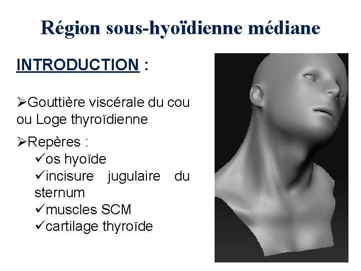 Région sous-hyoïdienne médiane INTRODUCTION : ØGouttière viscérale du cou ou Loge thyroïdienne ØRepères :