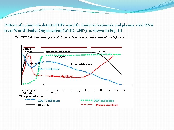 Pattern of commonly detected HIV-specific immune responses and plasma viral RNA level World Health