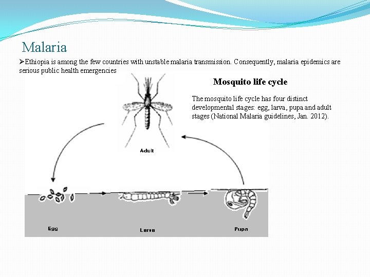 Malaria ØEthiopia is among the few countries with unstable malaria transmission. Consequently, malaria epidemics