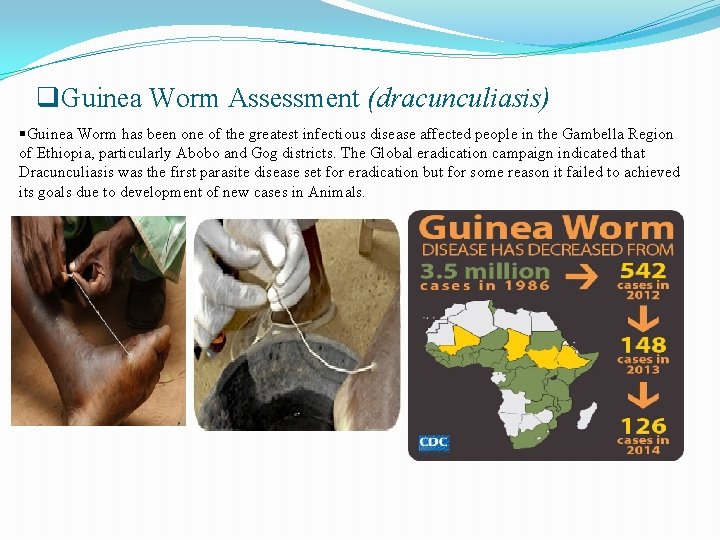 q. Guinea Worm Assessment (dracunculiasis) §Guinea Worm has been one of the greatest infectious