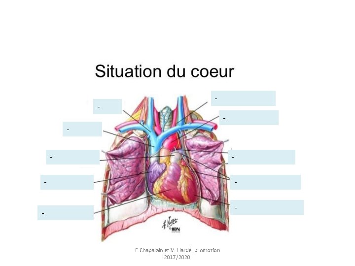 - - - - E. Chapalain et V. Hardé, promotion 2017/2020 