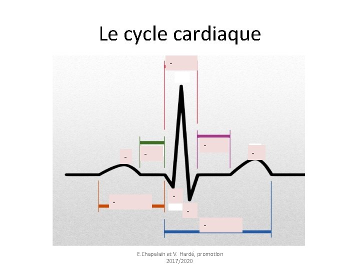 Le cycle cardiaque - - - E. Chapalain et V. Hardé, promotion 2017/2020 -