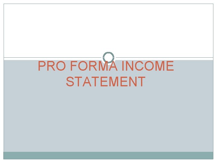 PRO FORMA INCOME STATEMENT 