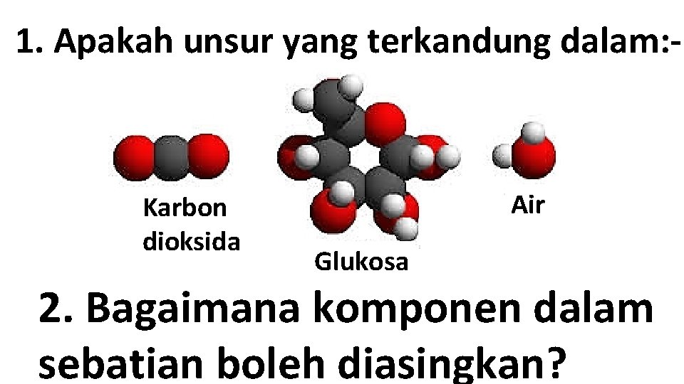 1. Apakah unsur yang terkandung dalam: - Karbon dioksida Air Glukosa 2. Bagaimana komponen