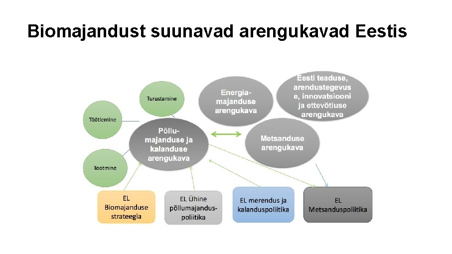 Biomajandust suunavad arengukavad Eestis 