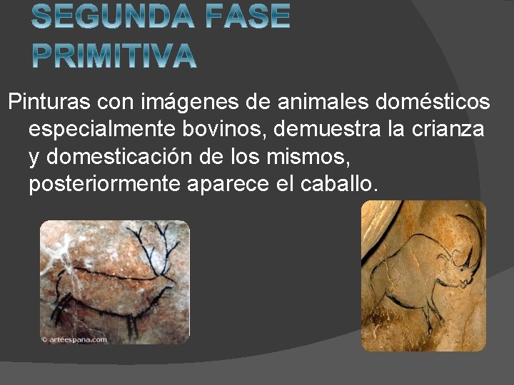 Pinturas con imágenes de animales domésticos especialmente bovinos, demuestra la crianza y domesticación de