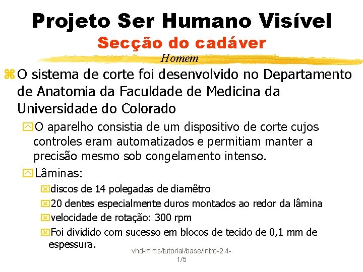 Projeto Ser Humano Visível Secção do cadáver Homem z O sistema de corte foi