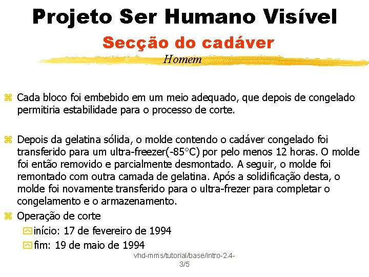 Projeto Ser Humano Visível Secção do cadáver Homem z Cada bloco foi embebido em