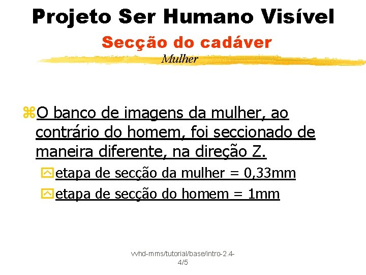 Projeto Ser Humano Visível Secção do cadáver Mulher z. O banco de imagens da