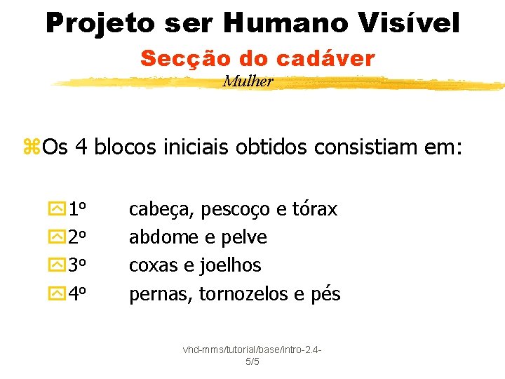 Projeto ser Humano Visível Secção do cadáver Mulher z. Os 4 blocos iniciais obtidos