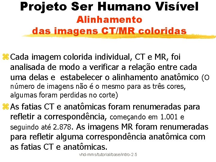 Projeto Ser Humano Visível Alinhamento das imagens CT/MR coloridas z Cada imagem colorida individual,