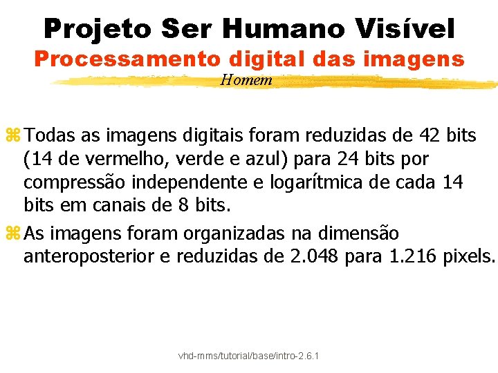 Projeto Ser Humano Visível Processamento digital das imagens Homem z Todas as imagens digitais