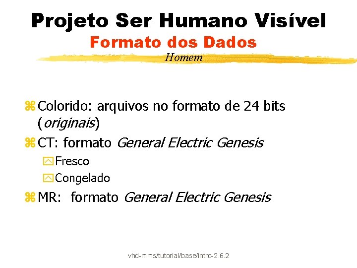 Projeto Ser Humano Visível Formato dos Dados Homem z Colorido: arquivos no formato de