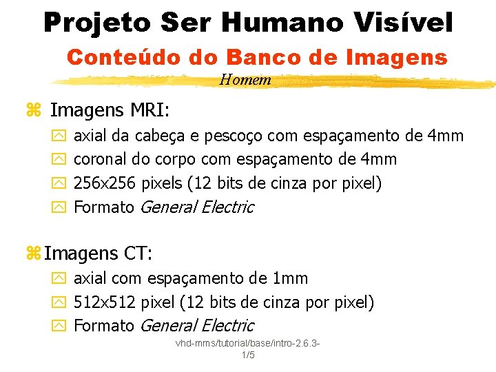 Projeto Ser Humano Visível Conteúdo do Banco de Imagens Homem z Imagens MRI: y