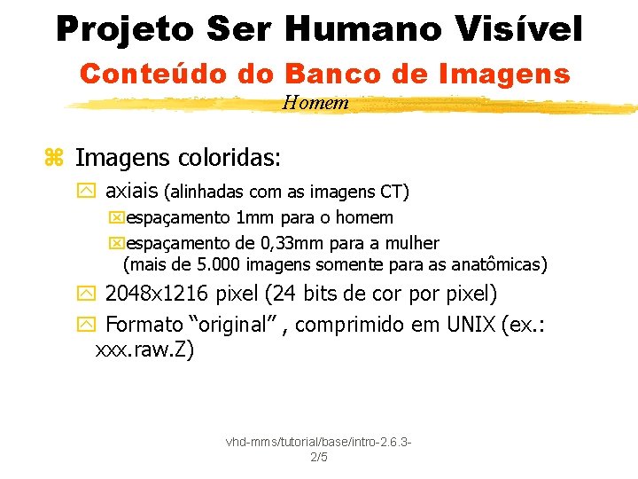 Projeto Ser Humano Visível Conteúdo do Banco de Imagens Homem z Imagens coloridas: y