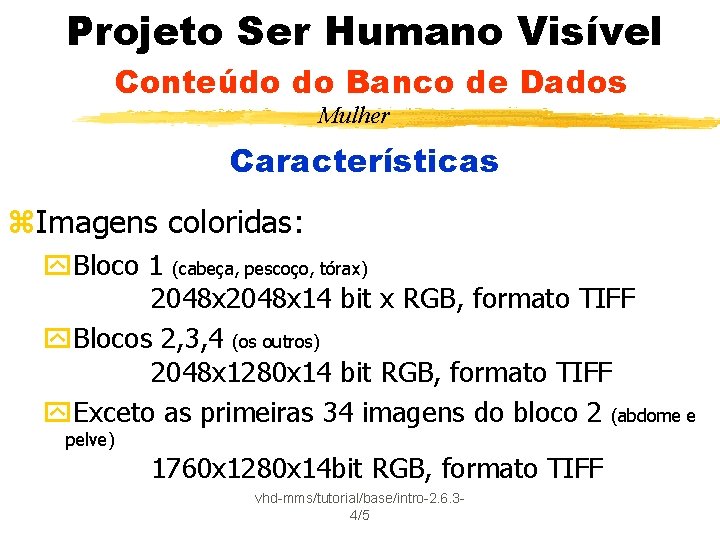 Projeto Ser Humano Visível Conteúdo do Banco de Dados Mulher Características z. Imagens coloridas: