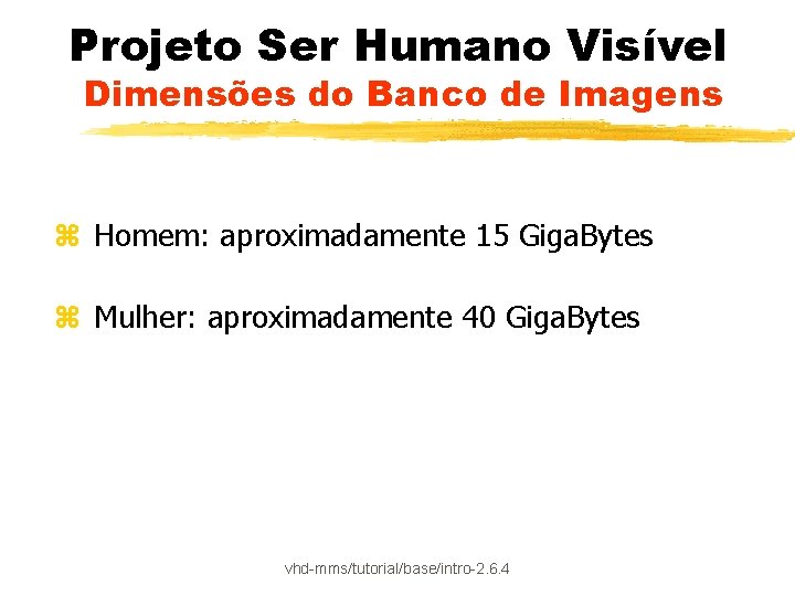 Projeto Ser Humano Visível Dimensões do Banco de Imagens z Homem: aproximadamente 15 Giga.