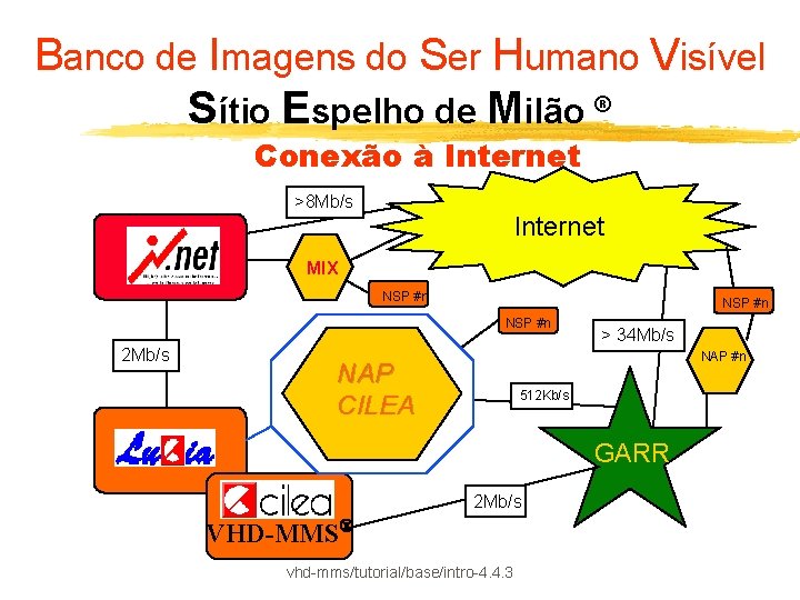 Banco de Imagens do Ser Humano Visível Sítio Espelho de Milão ® Conexão à