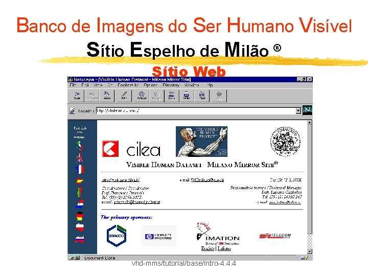 Banco de Imagens do Ser Humano Visível Sítio Espelho de Milão ® Sítio Web