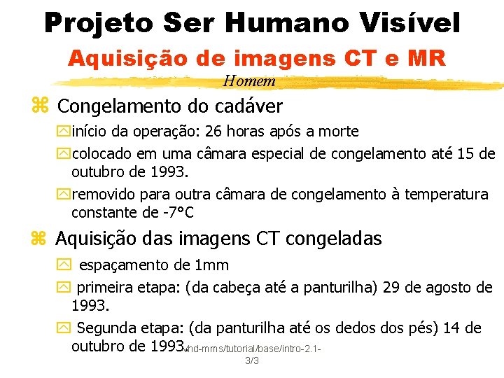 Projeto Ser Humano Visível Aquisição de imagens CT e MR Homem z Congelamento do