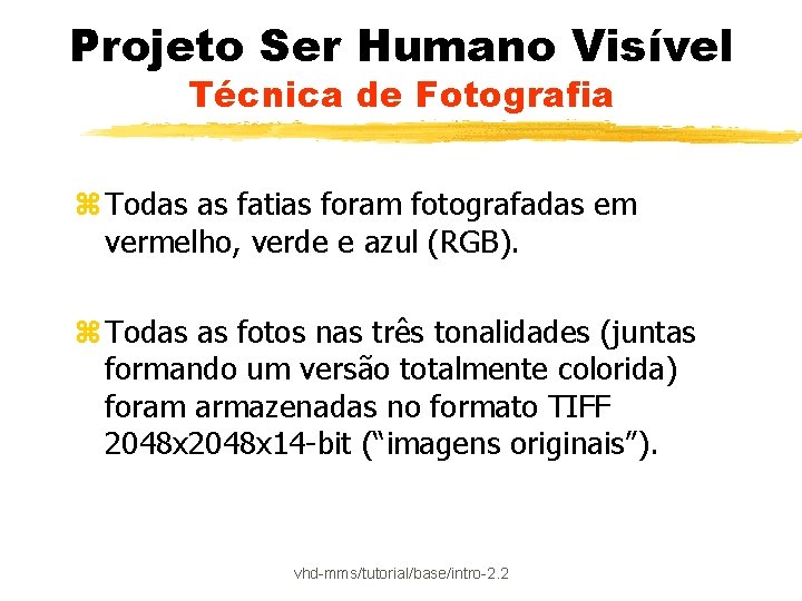 Projeto Ser Humano Visível Técnica de Fotografia z Todas as fatias foram fotografadas em