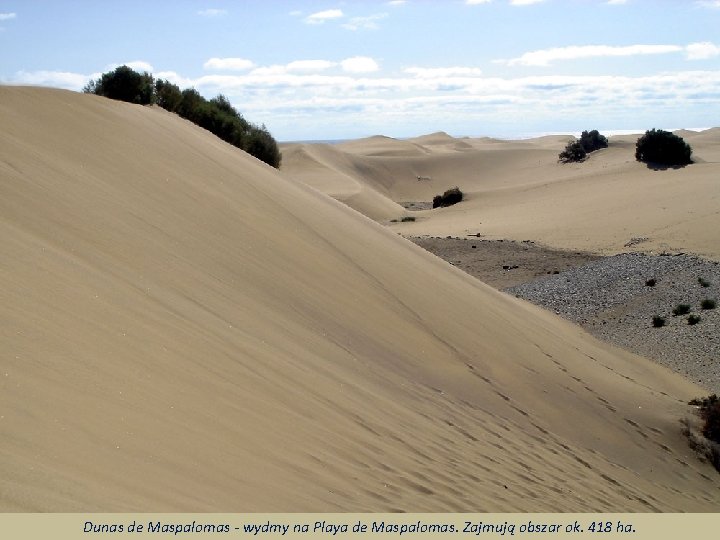 Dunas de Maspalomas - wydmy na Playa de Maspalomas. Zajmują obszar ok. 418 ha.